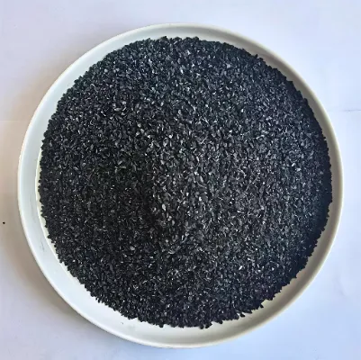Carbone attivo dal guscio di noce di cocco per la purificazione dell'acqua: facilita il miglioramento della qualità del trattamento dell'acqua.